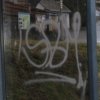 DSC04753